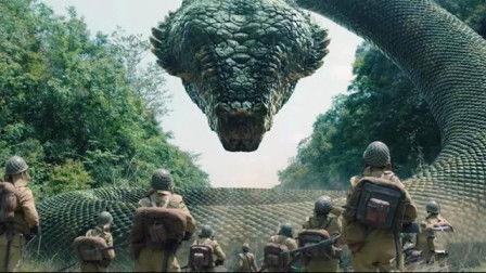 史前巨蟒图片,揭秘远古海洋的神秘霸主