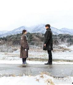 任意依恋背景纯音乐,探索纯音乐中的情感纽带